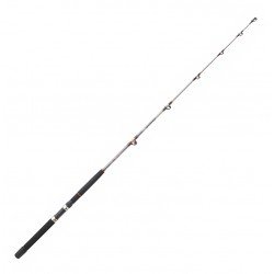 Daiwa Sealine X Trolling 50–80 lb (1,75 m)