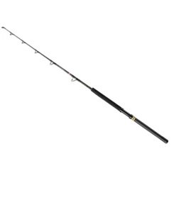 PENN Squall II Trolling Casting 1,68 m 30–80 lb Straight/Slick butt