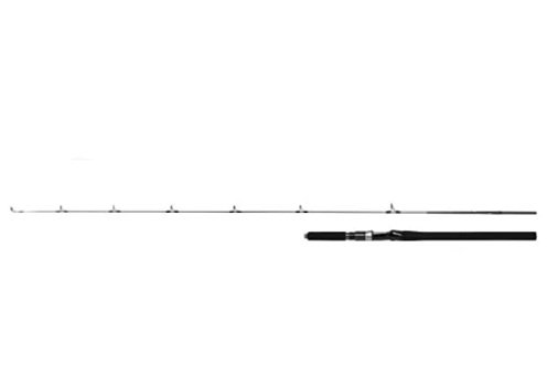 Shimano Speedmaster R Jigging S603